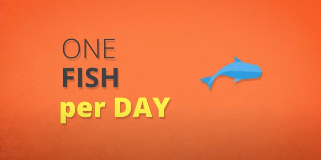 one fish per day