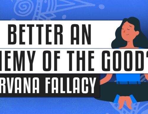 🧘 Nirvana Fallacy | Is “better” an enemy of the “good”?